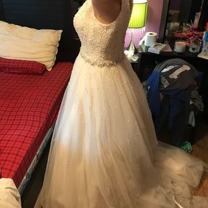 Wedding Dress (Alfred Angelo)
